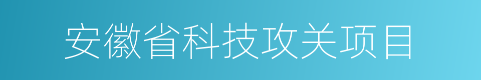 安徽省科技攻关项目的同义词