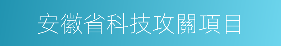 安徽省科技攻關項目的同義詞