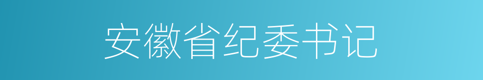 安徽省纪委书记的同义词