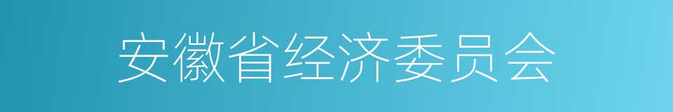 安徽省经济委员会的意思