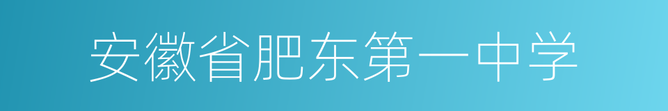 安徽省肥东第一中学的同义词