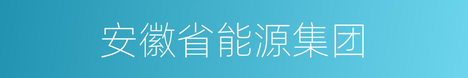 安徽省能源集团的同义词