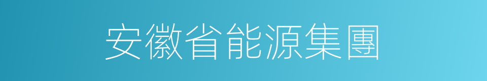 安徽省能源集團的同義詞