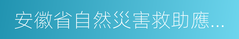 安徽省自然災害救助應急預案的同義詞