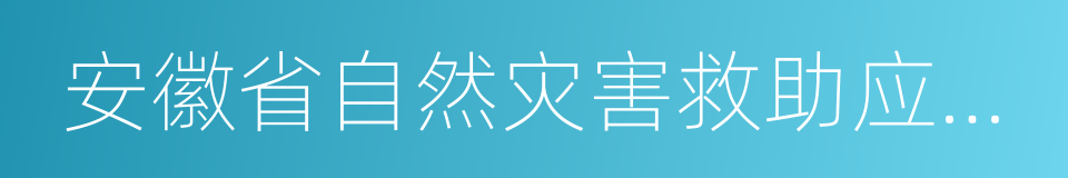 安徽省自然灾害救助应急预案的同义词