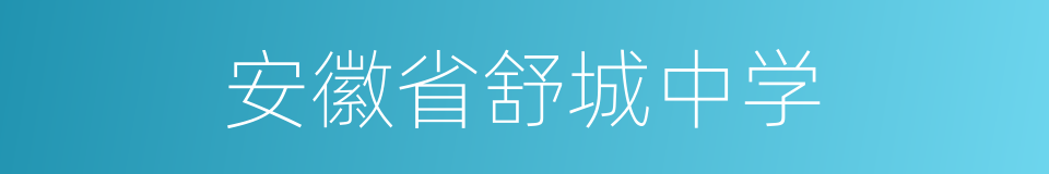 安徽省舒城中学的同义词