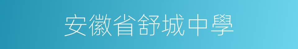 安徽省舒城中學的同義詞