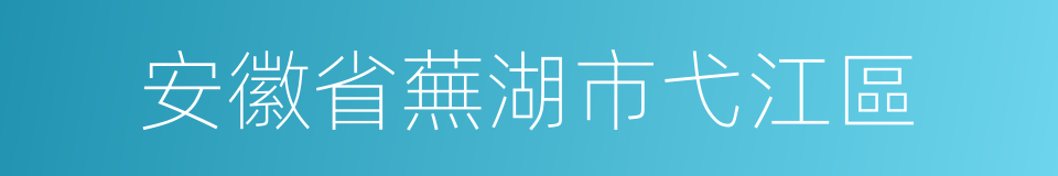 安徽省蕪湖市弋江區的同義詞