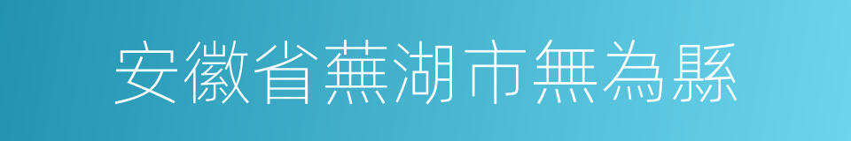 安徽省蕪湖市無為縣的同義詞