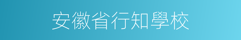 安徽省行知學校的同義詞