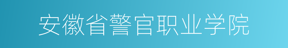 安徽省警官职业学院的同义词