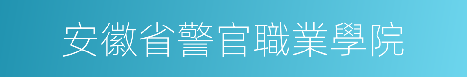 安徽省警官職業學院的同義詞