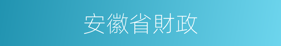 安徽省財政的同義詞