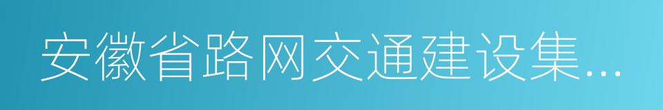 安徽省路网交通建设集团股份有限公司的同义词