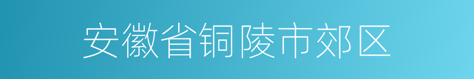 安徽省铜陵市郊区的同义词