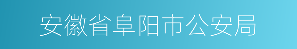 安徽省阜阳市公安局的同义词