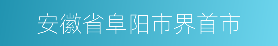 安徽省阜阳市界首市的同义词