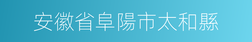 安徽省阜陽市太和縣的同義詞