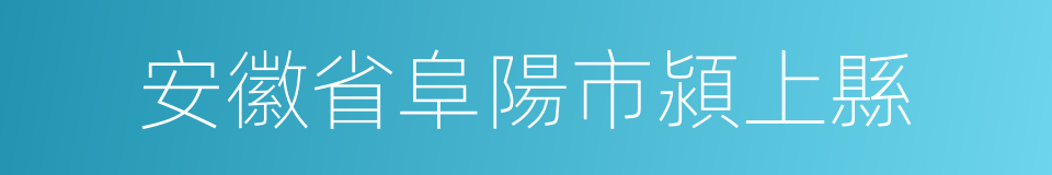 安徽省阜陽市潁上縣的同義詞