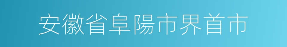 安徽省阜陽市界首市的同義詞