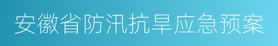 安徽省防汛抗旱应急预案的同义词