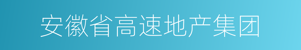 安徽省高速地产集团的同义词