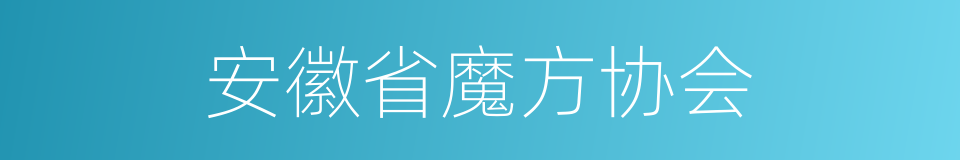 安徽省魔方协会的同义词