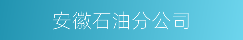 安徽石油分公司的同义词