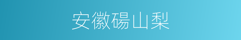 安徽碭山梨的同義詞