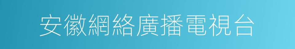 安徽網絡廣播電視台的同義詞