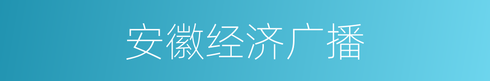 安徽经济广播的同义词