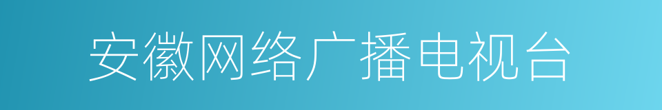 安徽网络广播电视台的同义词