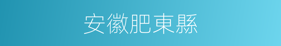 安徽肥東縣的同義詞