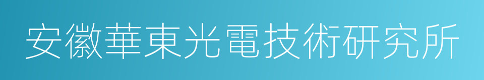 安徽華東光電技術研究所的同義詞