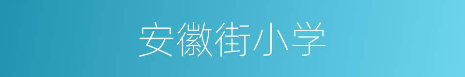 安徽街小学的同义词