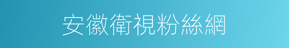 安徽衛視粉絲網的同義詞