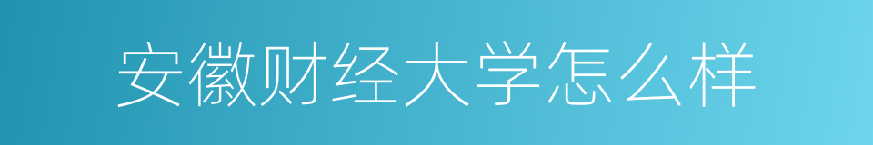 安徽财经大学怎么样的同义词