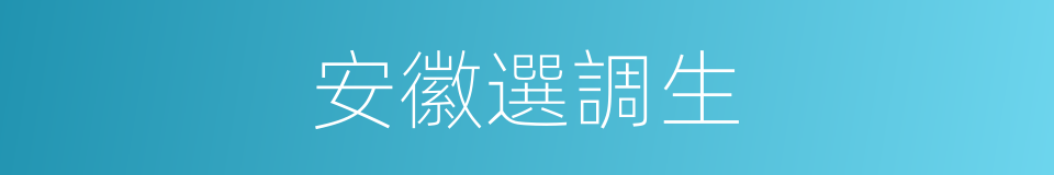 安徽選調生的同義詞