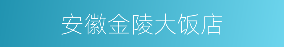 安徽金陵大饭店的同义词