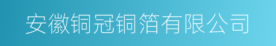 安徽铜冠铜箔有限公司的同义词