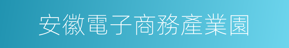 安徽電子商務產業園的同義詞