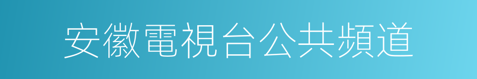 安徽電視台公共頻道的同義詞