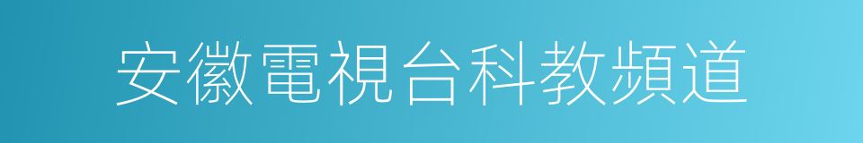 安徽電視台科教頻道的同義詞