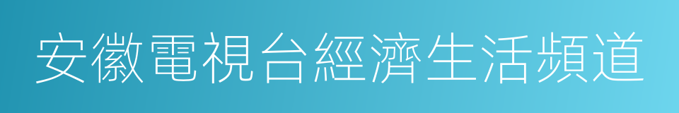 安徽電視台經濟生活頻道的同義詞