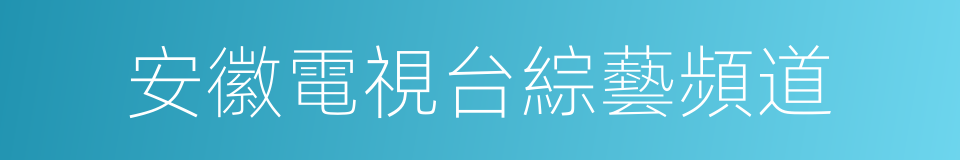 安徽電視台綜藝頻道的同義詞