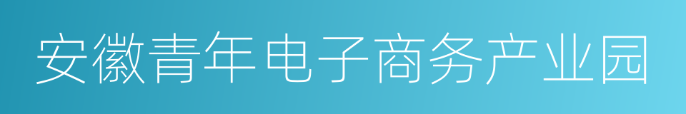 安徽青年电子商务产业园的同义词