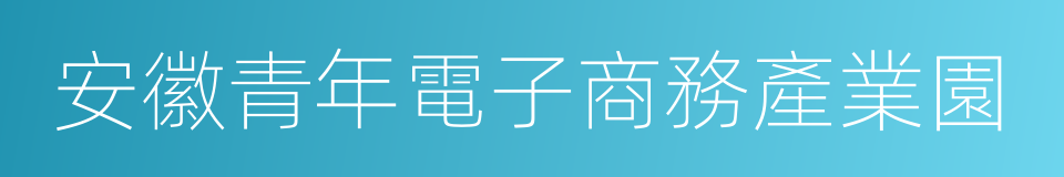 安徽青年電子商務產業園的同義詞