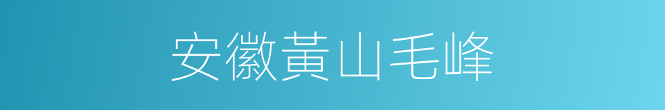 安徽黃山毛峰的同義詞