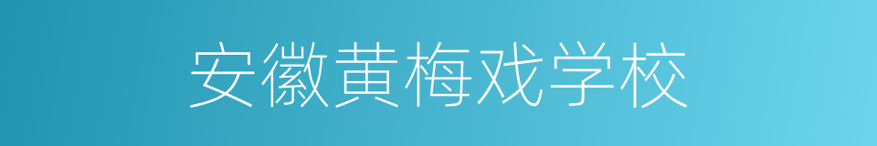 安徽黄梅戏学校的同义词