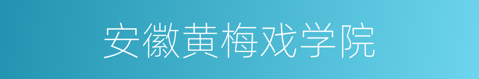 安徽黄梅戏学院的同义词